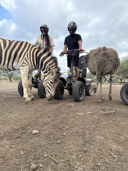 Shaun and Rebekah exploring together beside a zebra